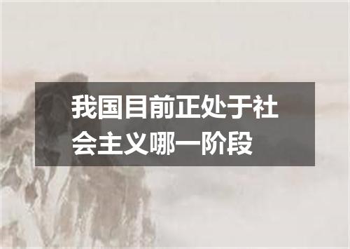 我国目前正处于社会主义哪一阶段