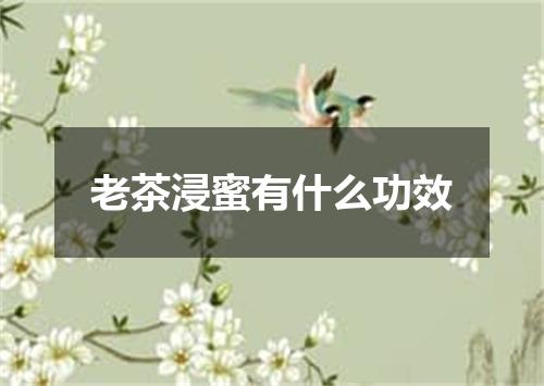 老茶浸蜜有什么功效