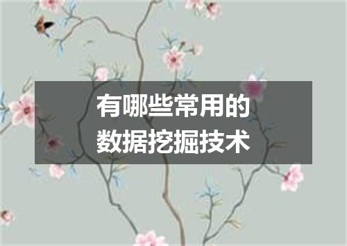 有哪些常用的数据挖掘技术