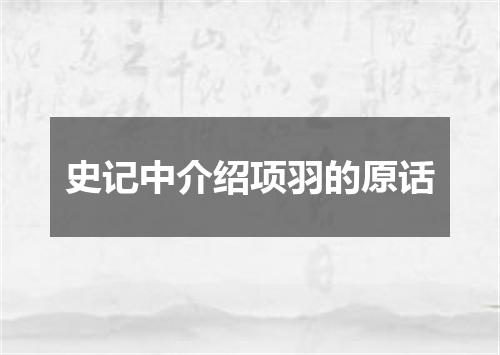 史记中介绍项羽的原话