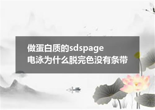 做蛋白质的sdspage电泳为什么脱完色没有条带