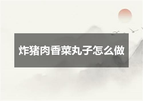 炸猪肉香菜丸子怎么做