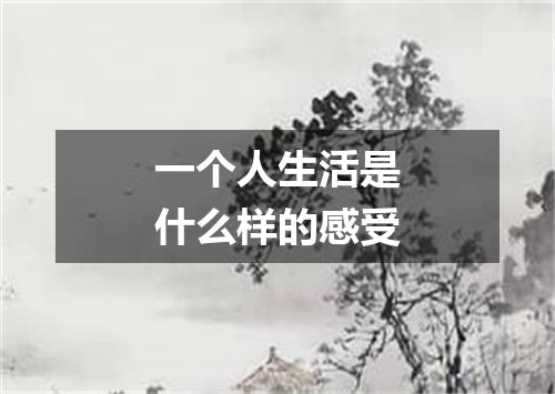 一个人生活是什么样的感受