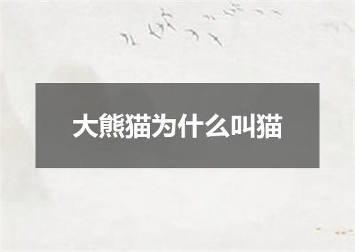 大熊猫为什么叫猫