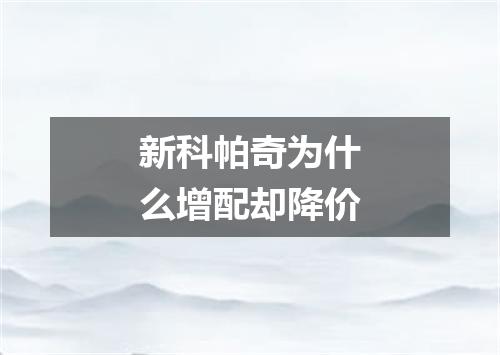 新科帕奇为什么增配却降价