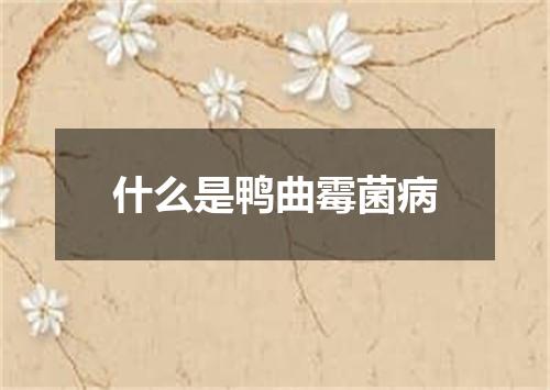什么是鸭曲霉菌病
