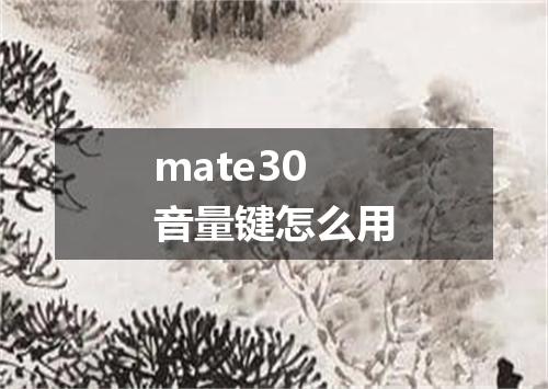 mate30音量键怎么用