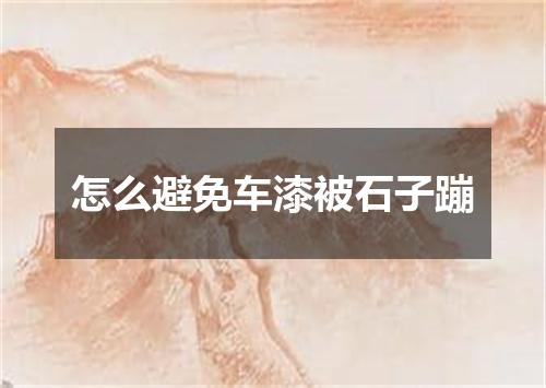 怎么避免车漆被石子蹦
