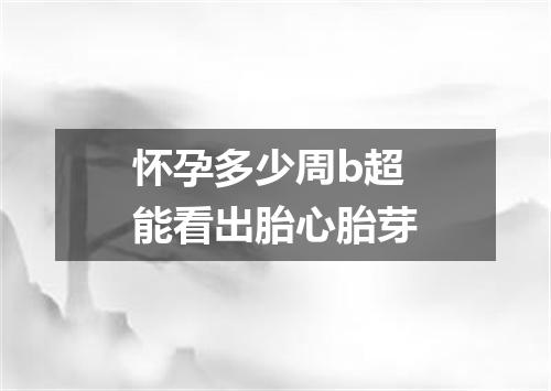 怀孕多少周b超能看出胎心胎芽