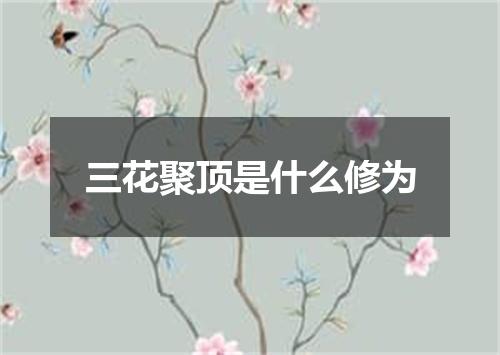 三花聚顶是什么修为