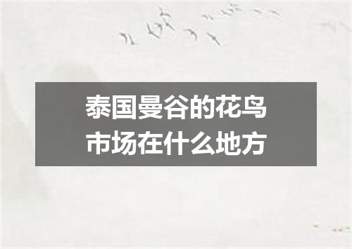 泰国曼谷的花鸟市场在什么地方