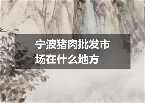 宁波猪肉批发市场在什么地方