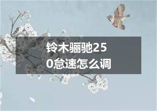 铃木骊驰250怠速怎么调