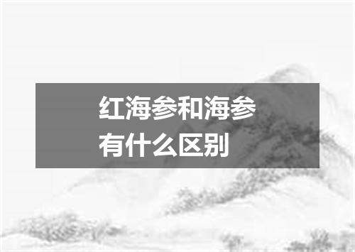 红海参和海参有什么区别