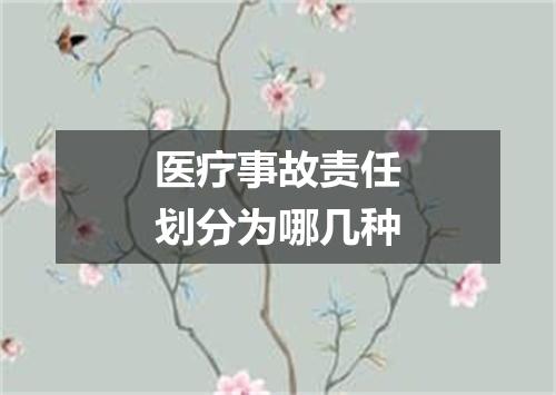 医疗事故责任划分为哪几种