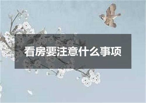 看房要注意什么事项