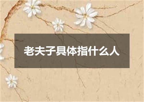 老夫子具体指什么人