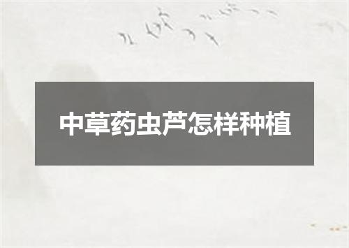 中草药虫芦怎样种植