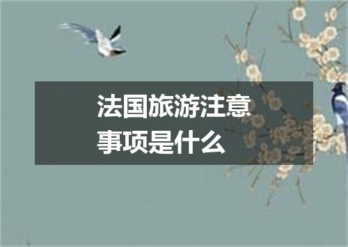 法国旅游注意事项是什么