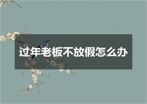 过年老板不放假怎么办