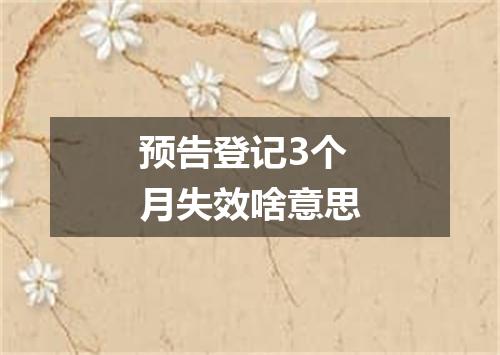 预告登记3个月失效啥意思