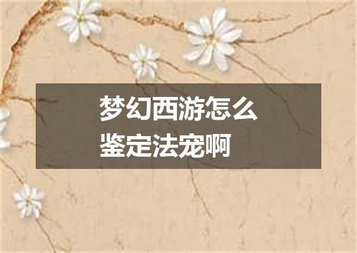 梦幻西游怎么鉴定法宠啊