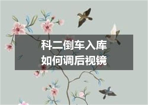 科二倒车入库如何调后视镜