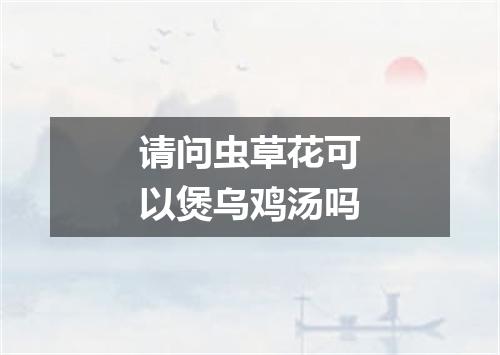 请问虫草花可以煲乌鸡汤吗