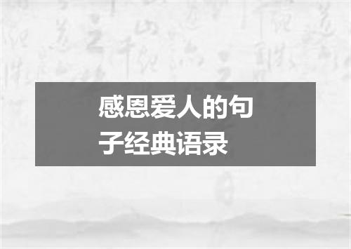 感恩爱人的句子经典语录