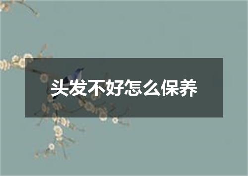 头发不好怎么保养