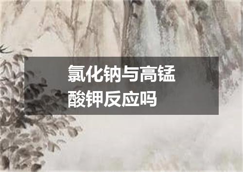 氯化钠与高锰酸钾反应吗