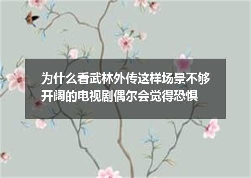 为什么看武林外传这样场景不够开阔的电视剧偶尔会觉得恐惧