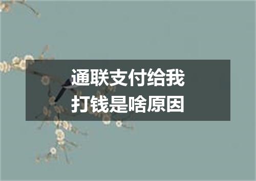 通联支付给我打钱是啥原因