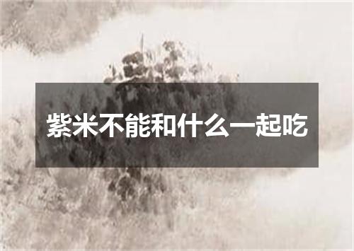 紫米不能和什么一起吃