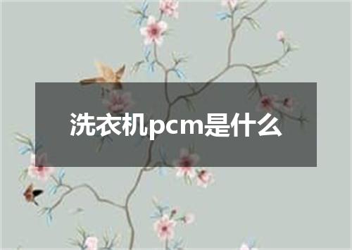 洗衣机pcm是什么