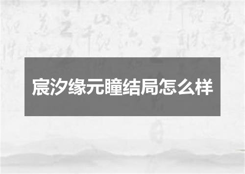 宸汐缘元瞳结局怎么样