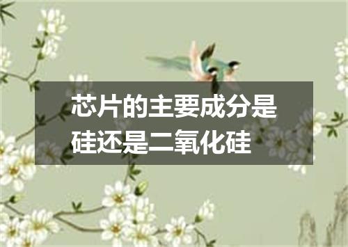 芯片的主要成分是硅还是二氧化硅