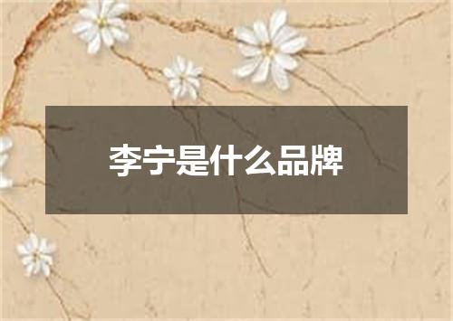 李宁是什么品牌