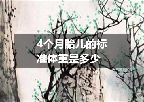 4个月胎儿的标准体重是多少