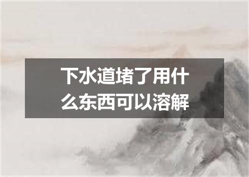 下水道堵了用什么东西可以溶解