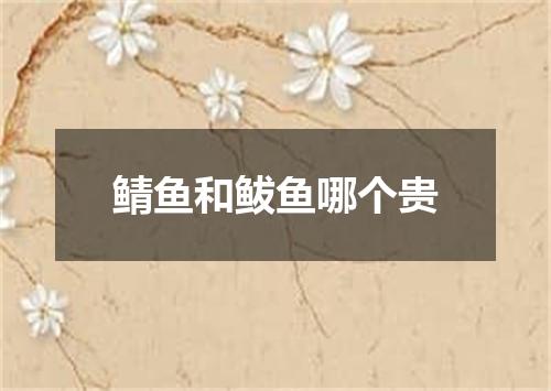 鲭鱼和鲅鱼哪个贵