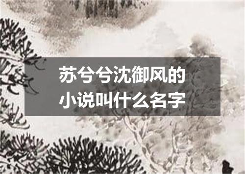 苏兮兮沈御风的小说叫什么名字