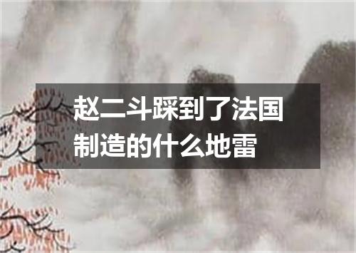 赵二斗踩到了法国制造的什么地雷