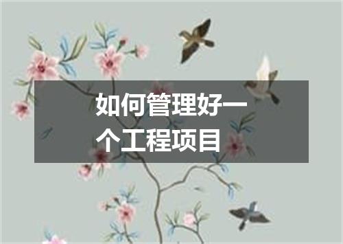如何管理好一个工程项目