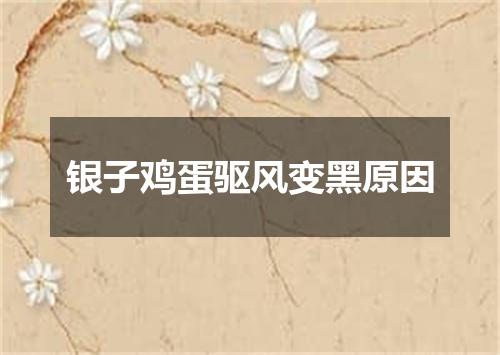 银子鸡蛋驱风变黑原因