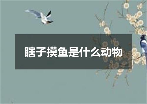 瞎子摸鱼是什么动物