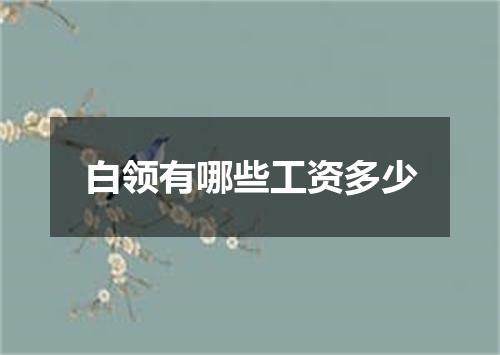 白领有哪些工资多少