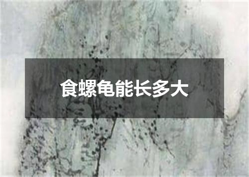 食螺龟能长多大