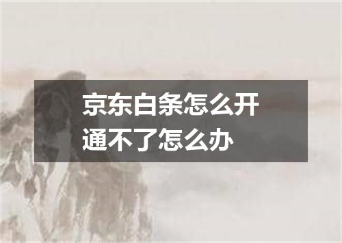 京东白条怎么开通不了怎么办
