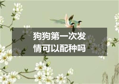 狗狗第一次发情可以配种吗